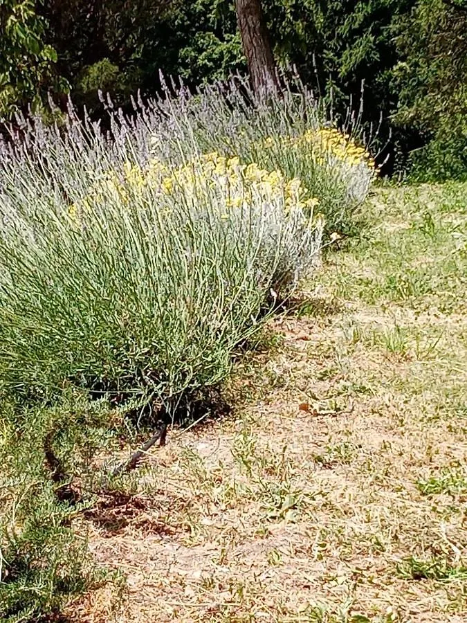 Apartment Appartamento Il Giardino Carignano